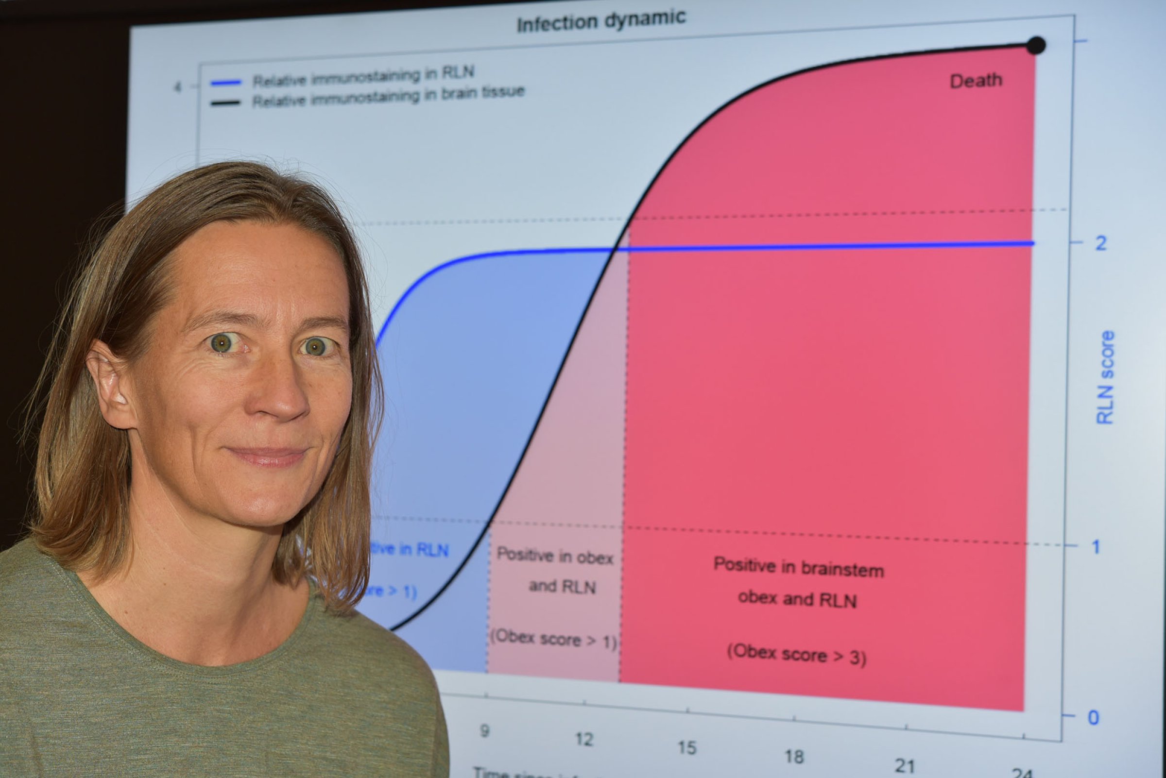 We will use this model to determine when specific reindeer herds in Norway hopefully can be declared free from CWD, says Hildegunn Viljugrein, senior researcher at the Norwegian Veterinary Institute. Photo: Bryndis Holm